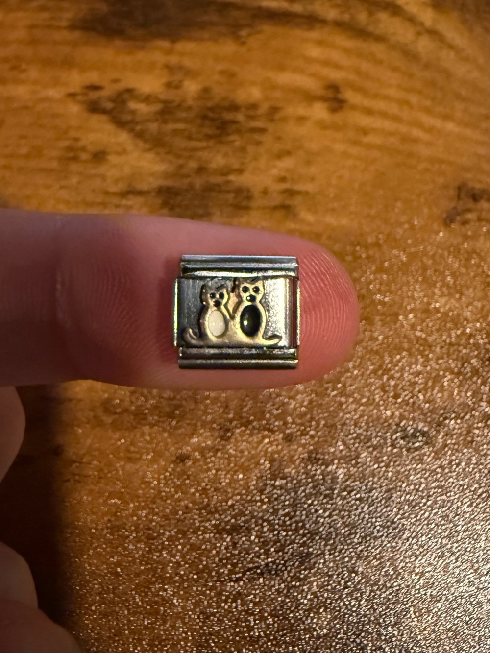 Cat Italian charm